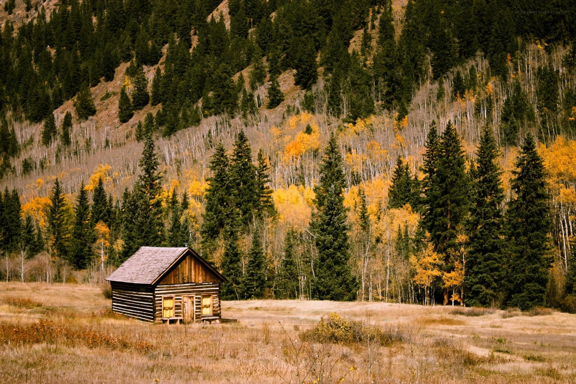 Cabin in autumn forest
