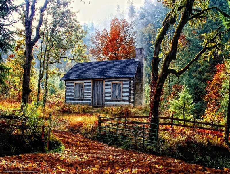 Cabin in autumn forest