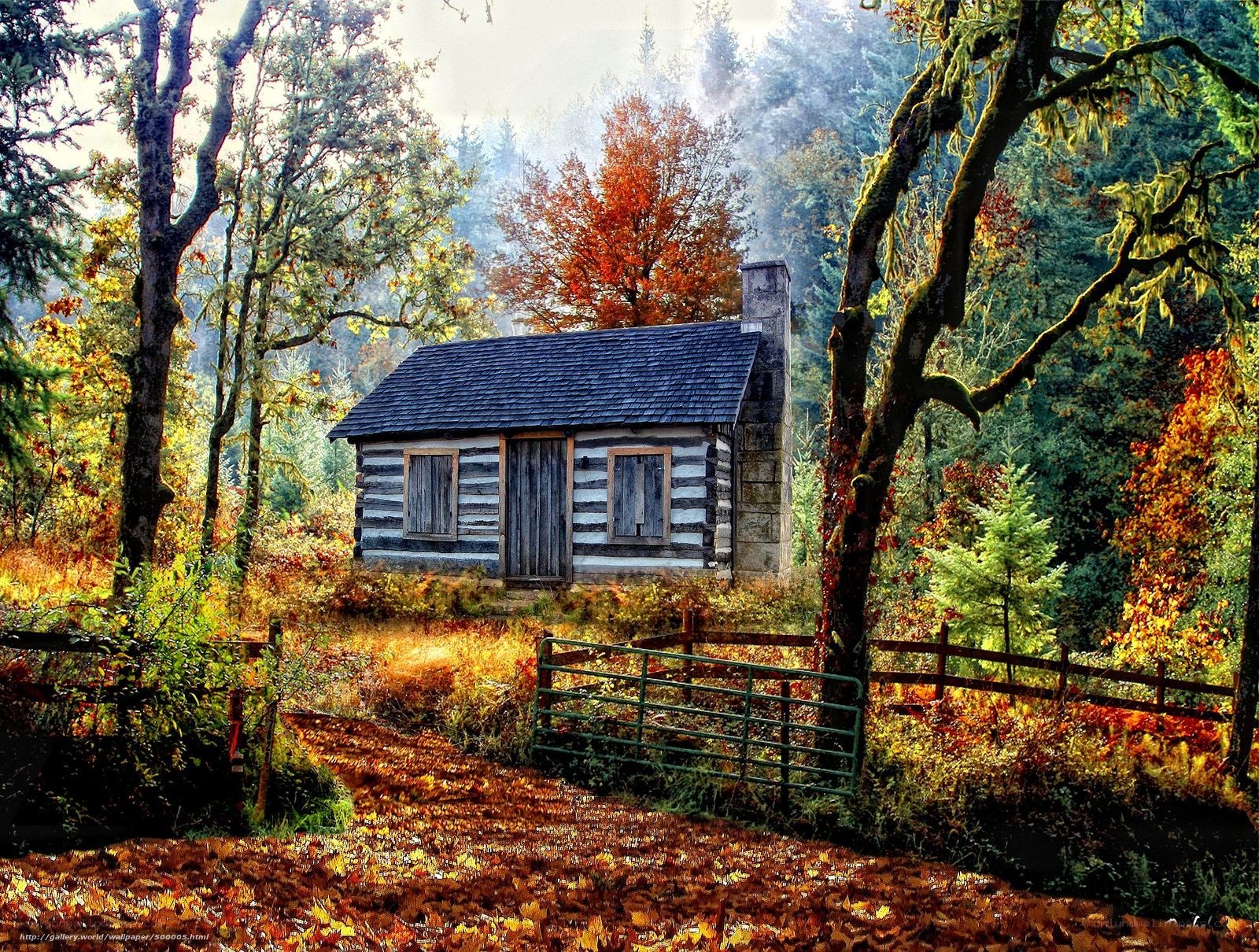 Cabin in autumn forest