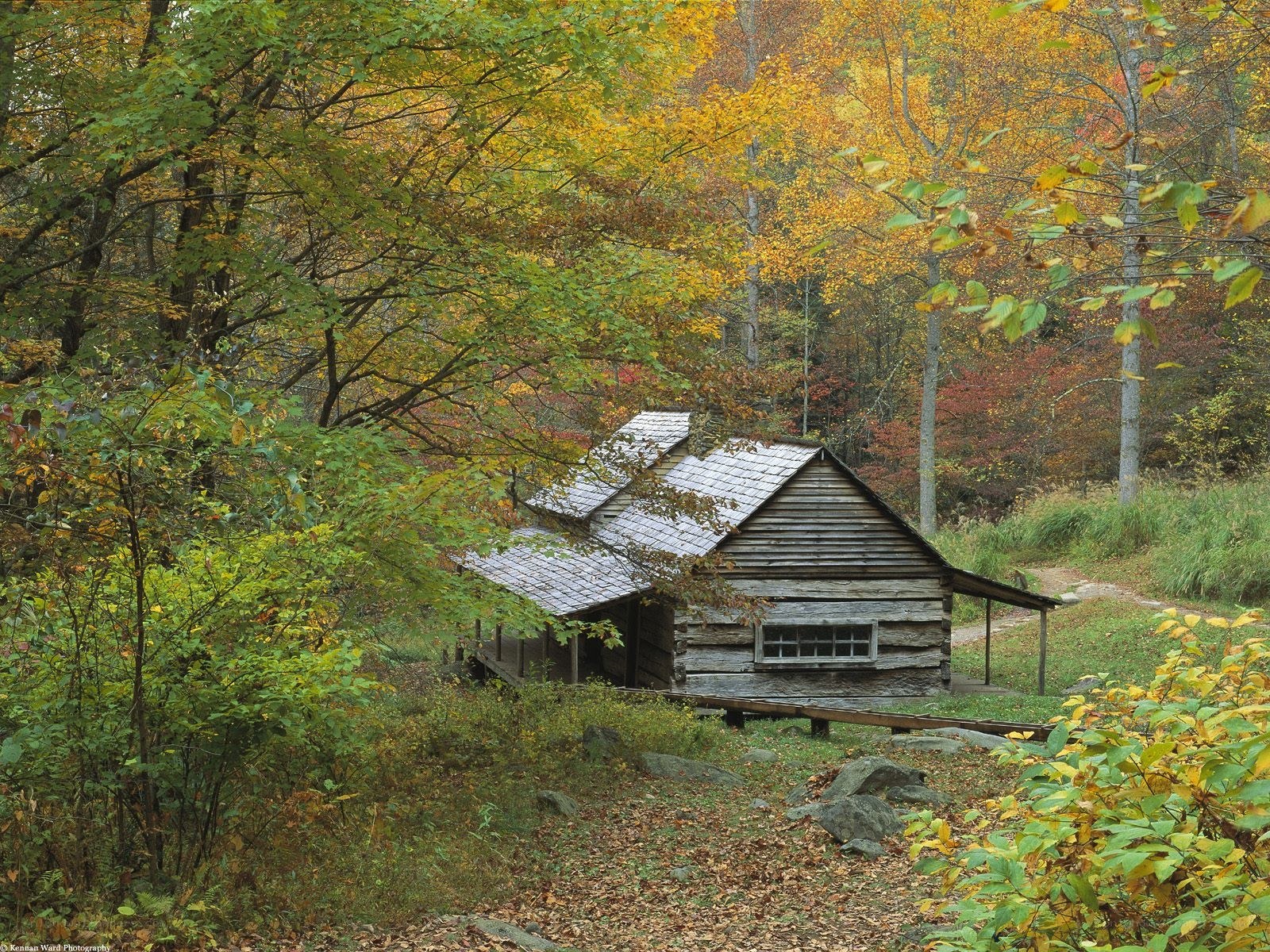 Cabin in autumn forest