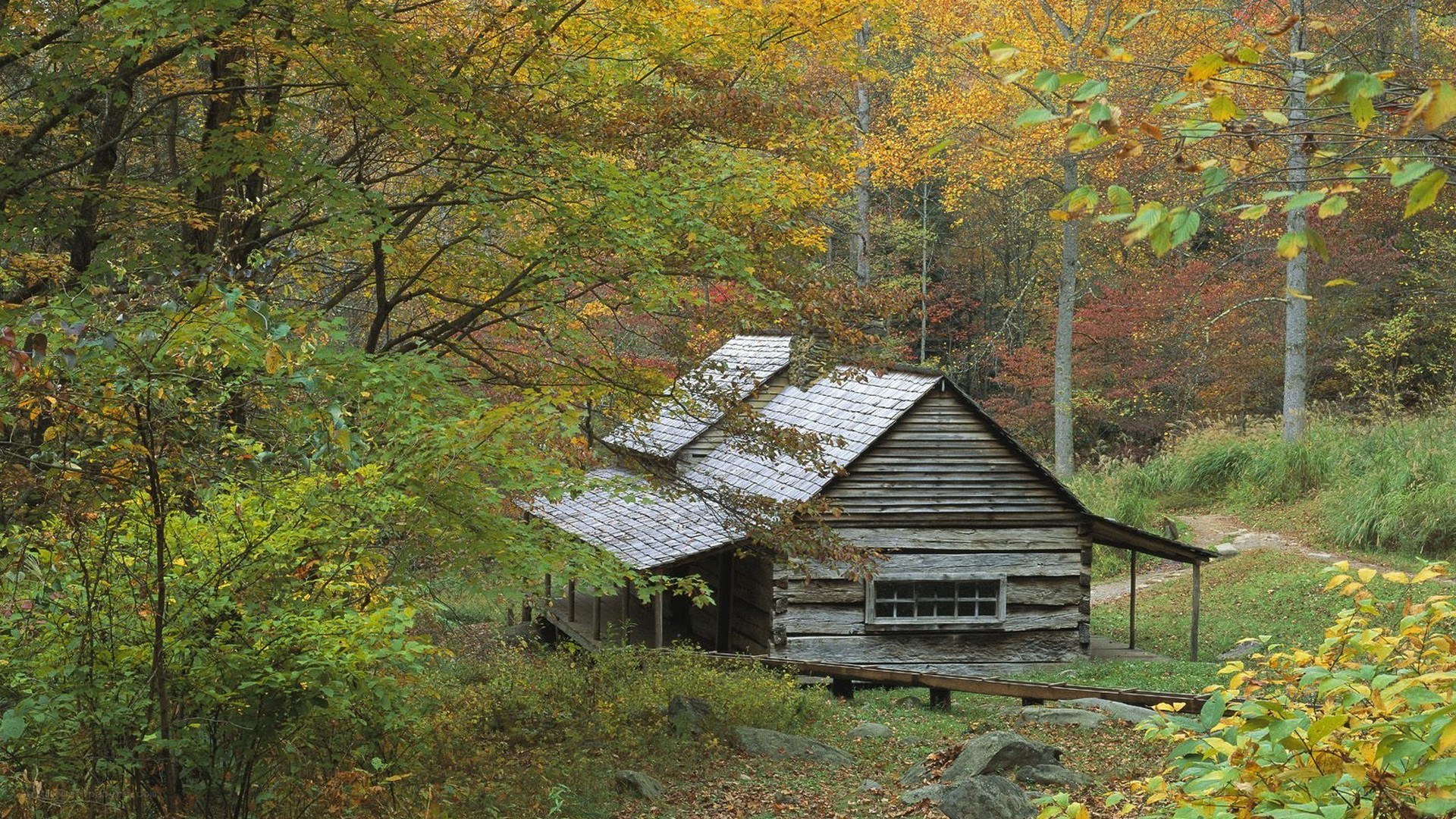 Cabin in autumn forest