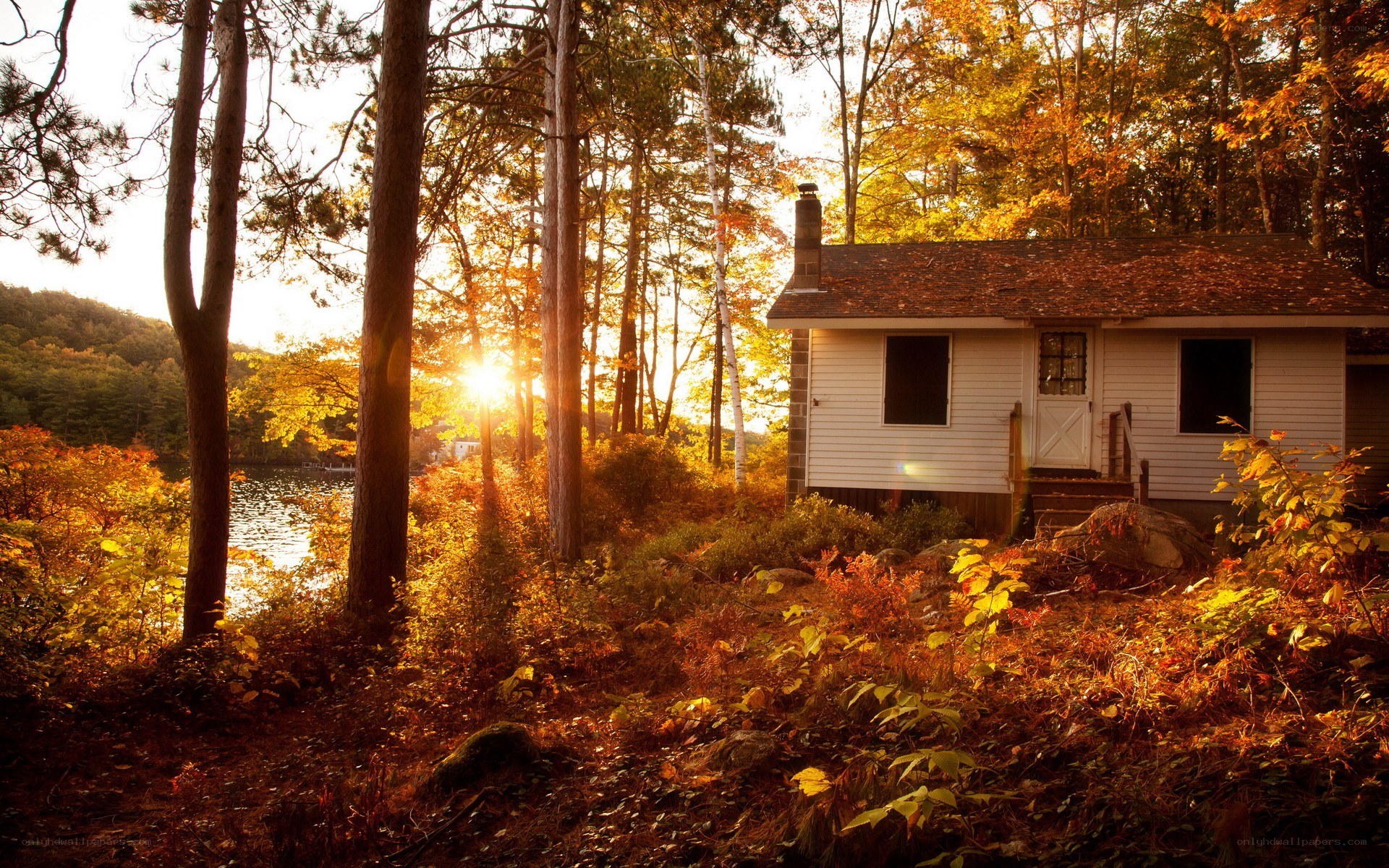 Cabin in autumn forest