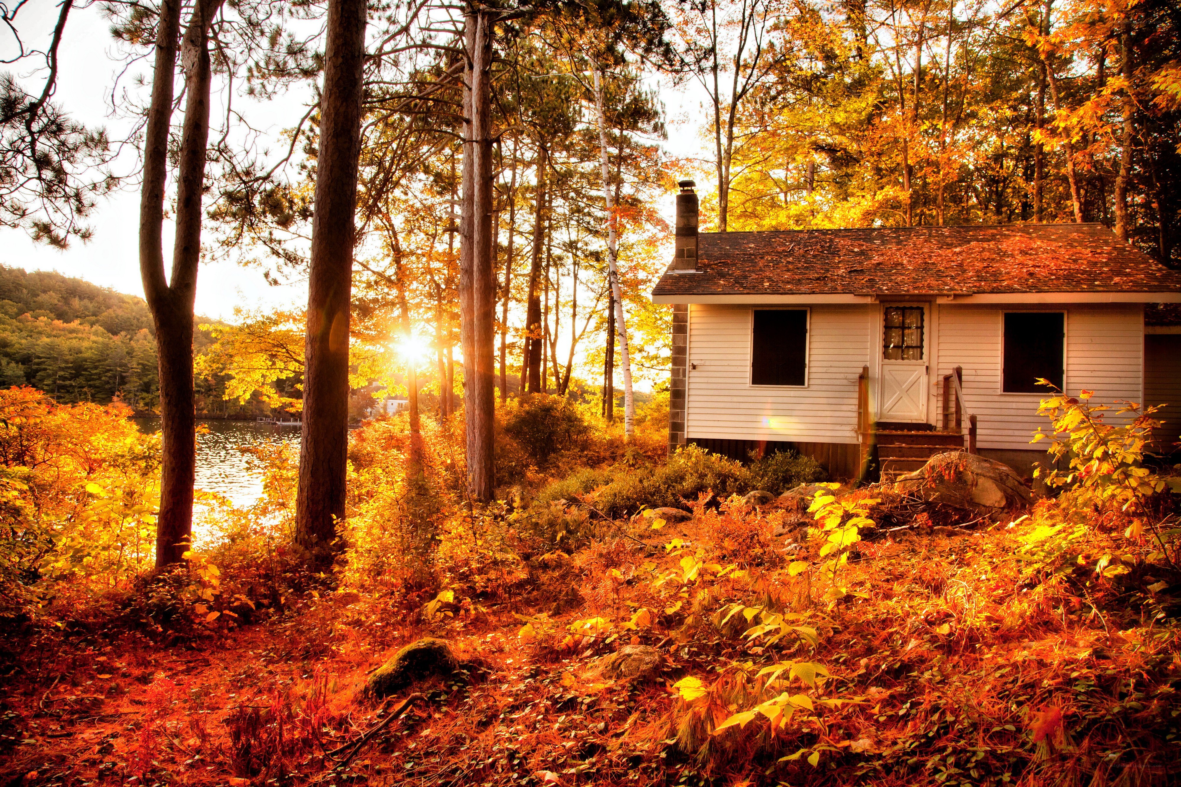 Cabin in autumn forest