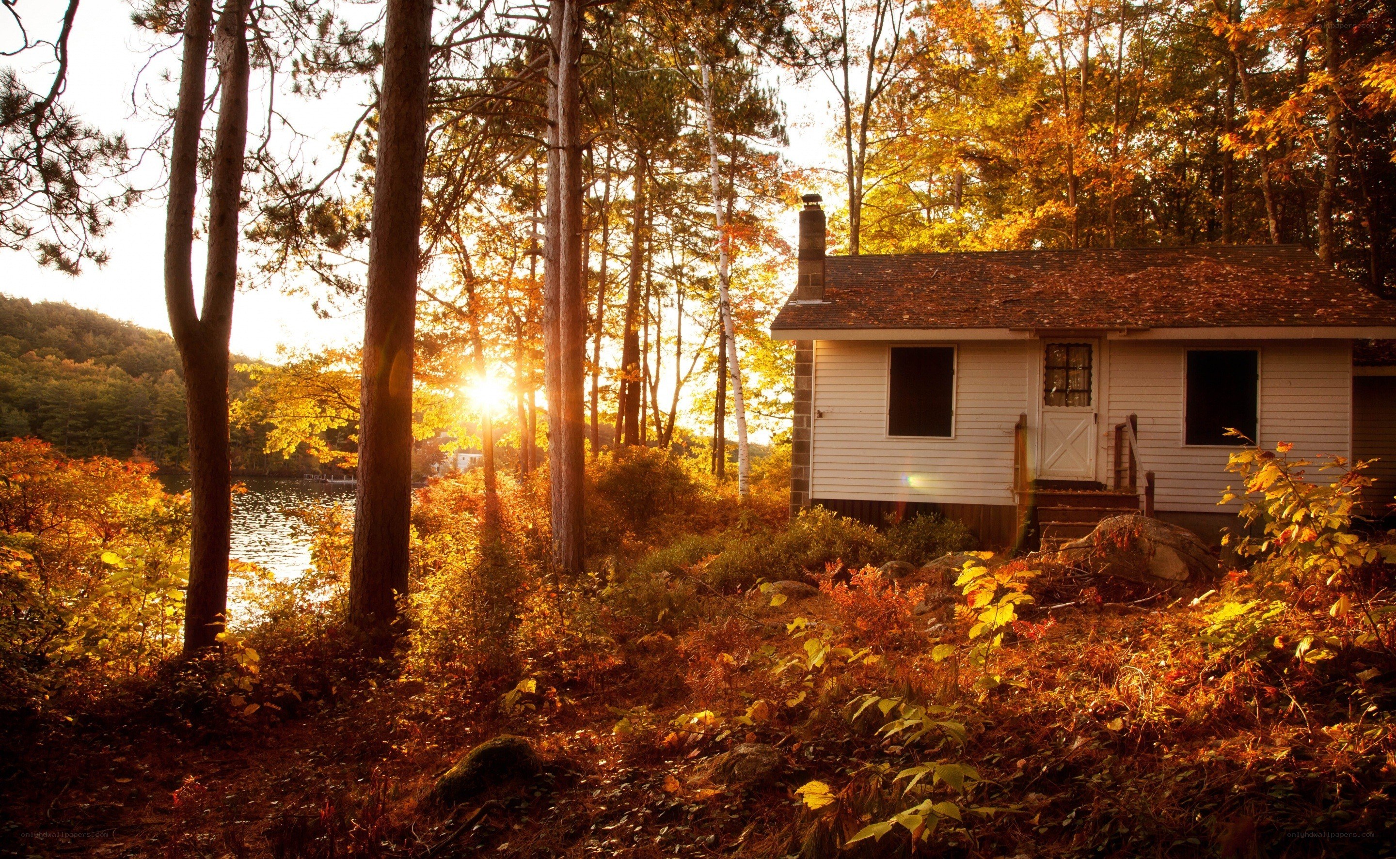 Cabin in autumn forest