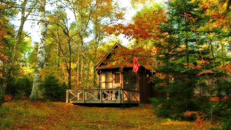 Cabin in Autumn Forest — Green, Serene, Photograph, Trees, Fallen Leaves