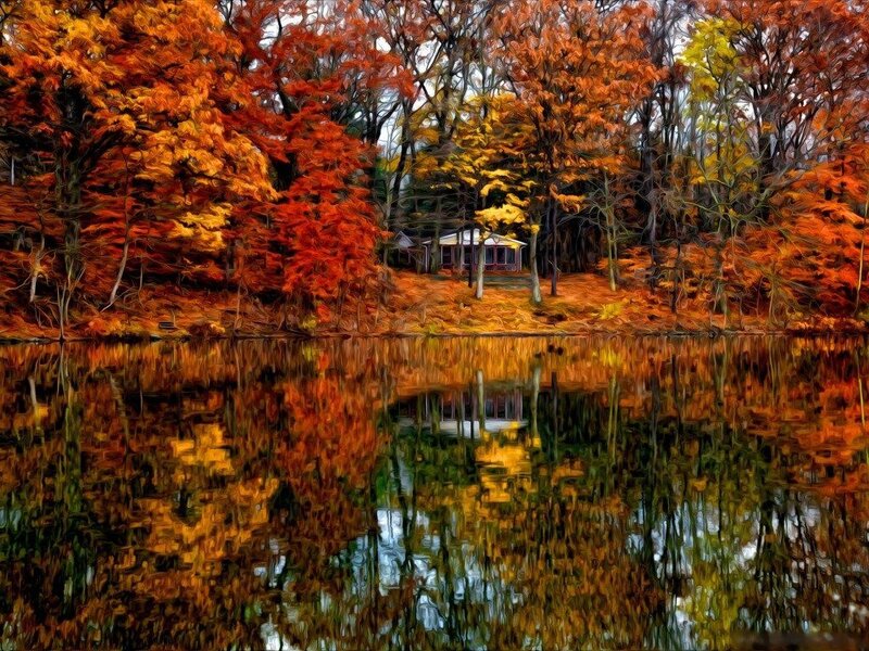 Cabin in Autumn Forest — Orange, Serene, Digital Art, Trees