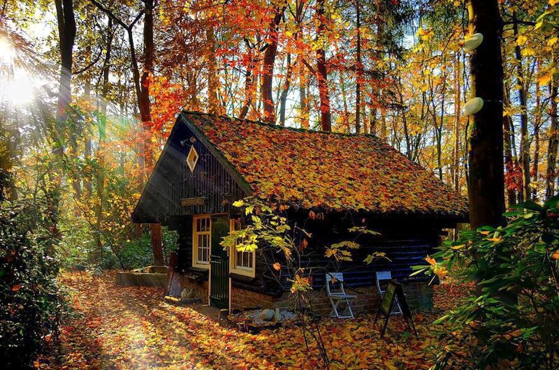 Cabin in Autumn Forest — Orange, Serene, Photograph, Leaves