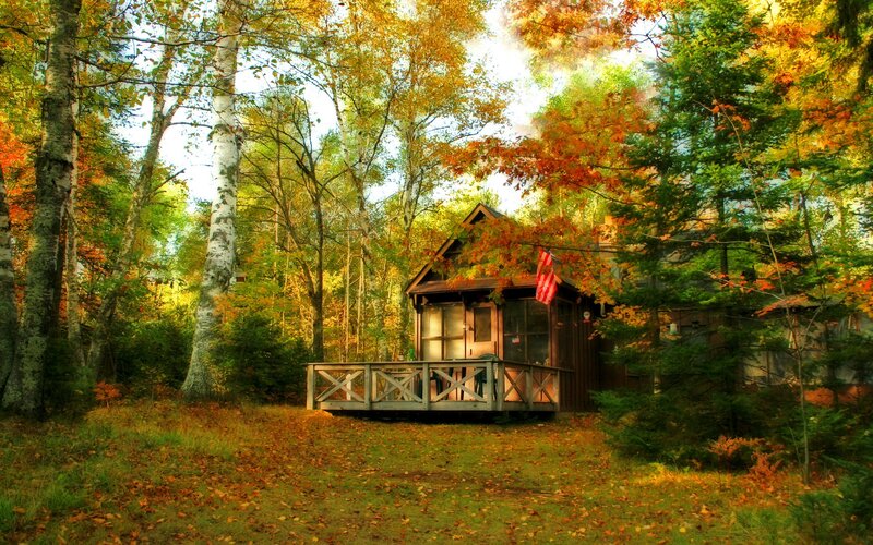 Cabin in Autumn Forest — Orange, Serene, Photograph