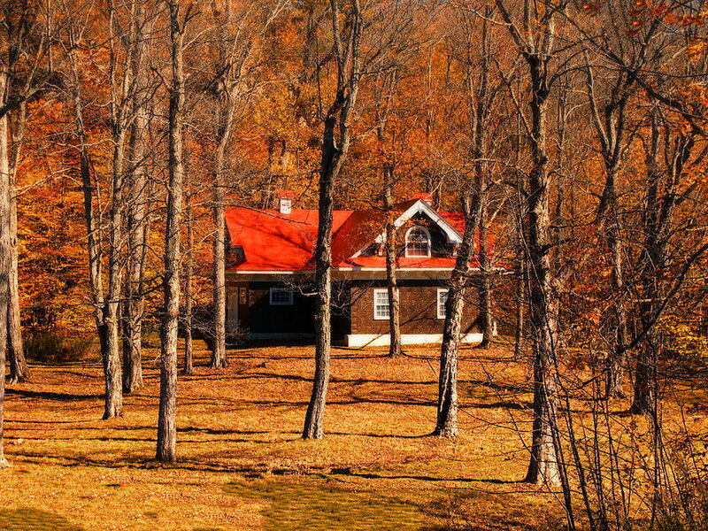 Cabin in Autumn Forest — Orange, Serene, Photograph, Trees, Fallen Leaves