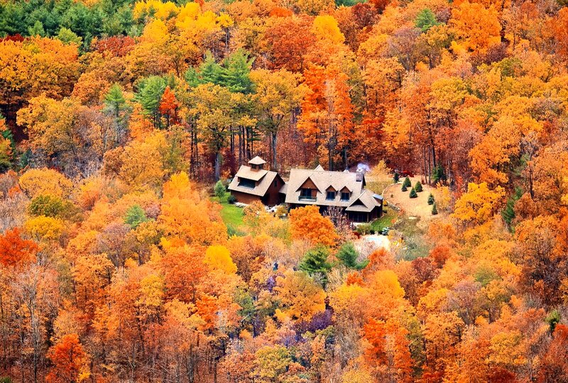Cabin in Autumn Forest — Orange, Serene, Photograph, Trees, House