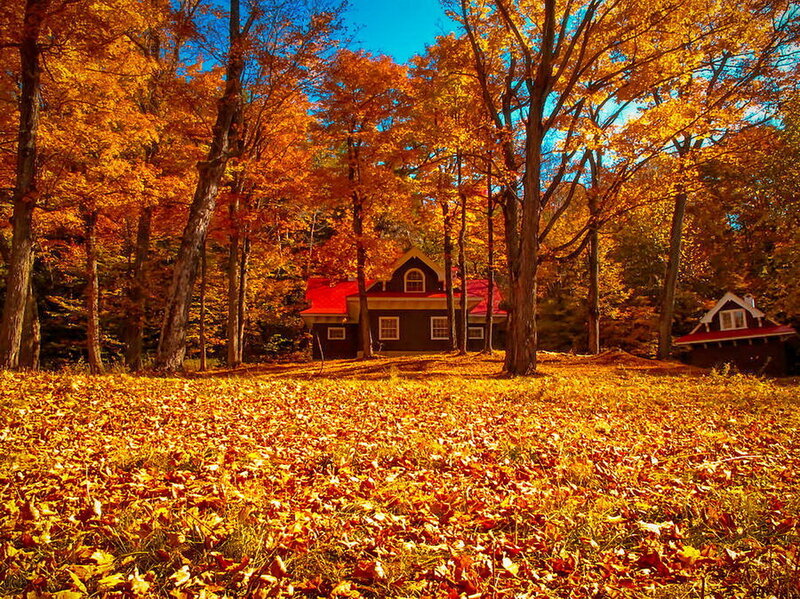 Cabin in Autumn Forest — Orange, Serene, Photograph, Trees, Leaves