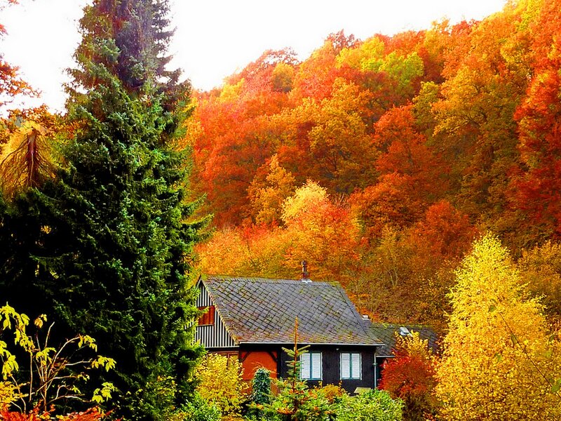 Cabin in Autumn Forest — Orange, Serene, Photograph, Trees