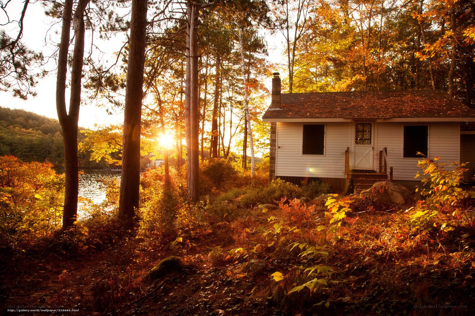 Cabin in autumn forest