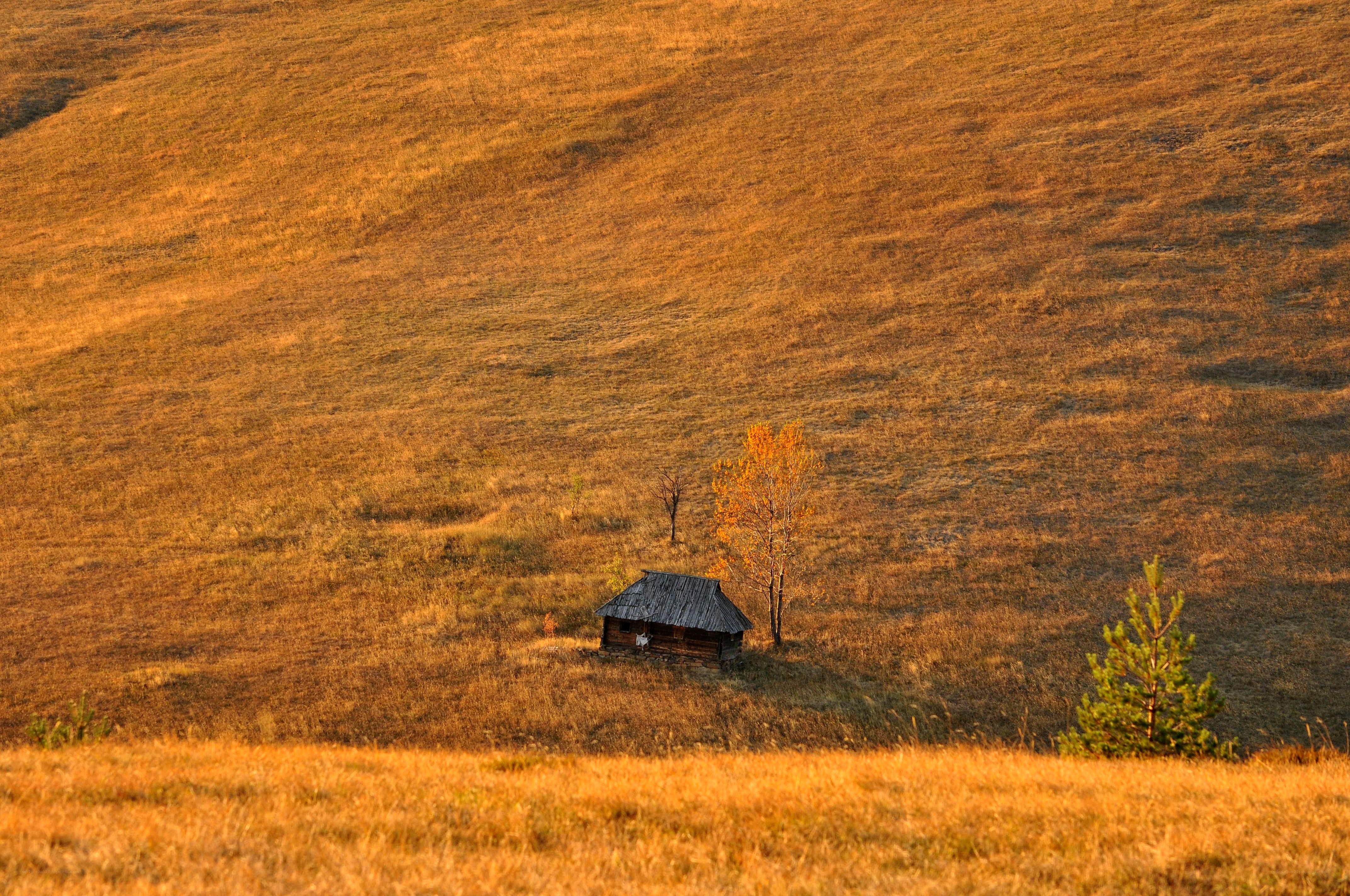 Cabin in autumn hills