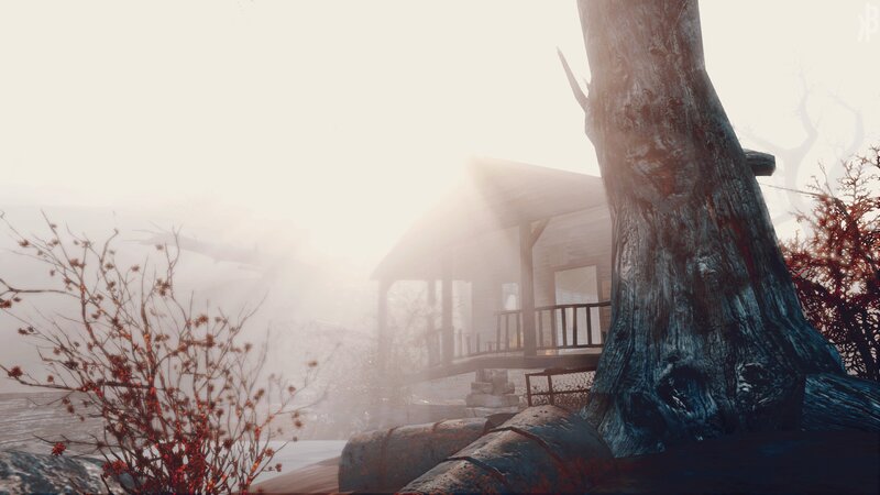 Cabin in Foggy Forest — Gray