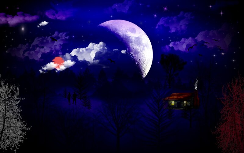 Cabin in Forest at Night