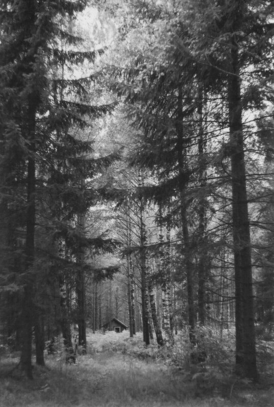 Cabin in Forest — Black, Serene