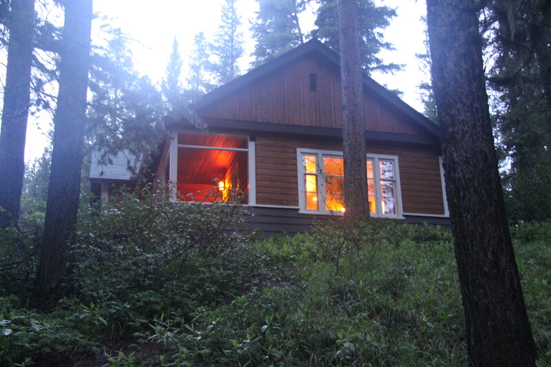 Cabin in Forest — Brown
