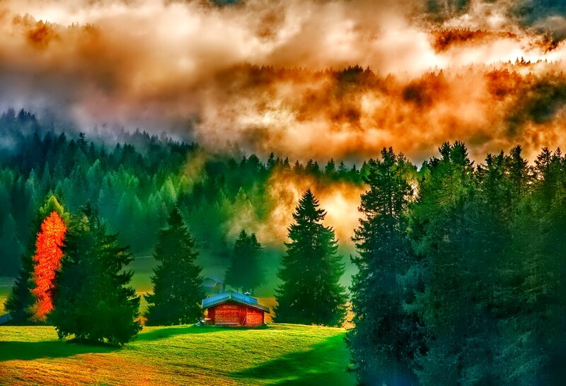 Cabin in Forest Clearing