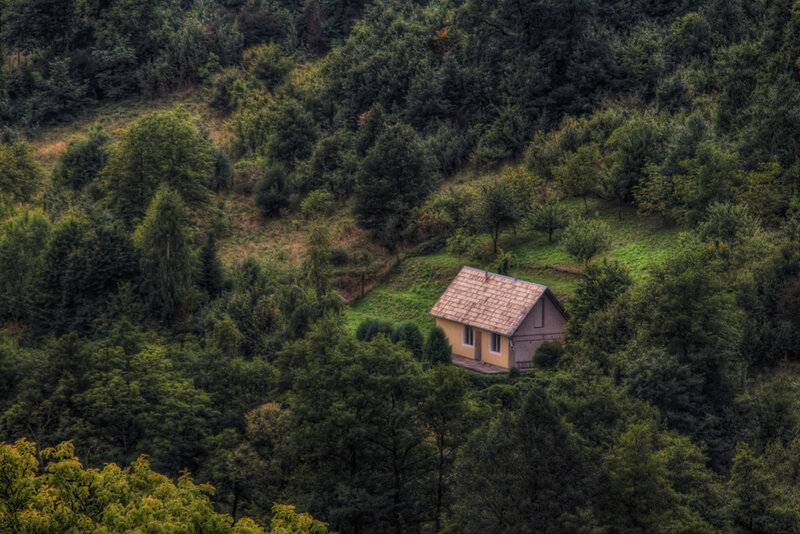 Cabin in Forest — Green, Serene, Afternoon