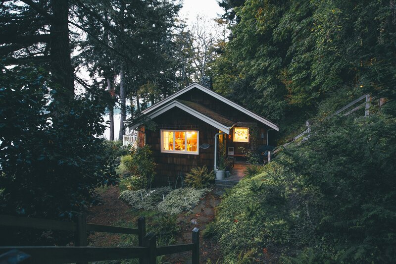 Cabin in Forest — Green, Serene, Night, Photograph, Trees