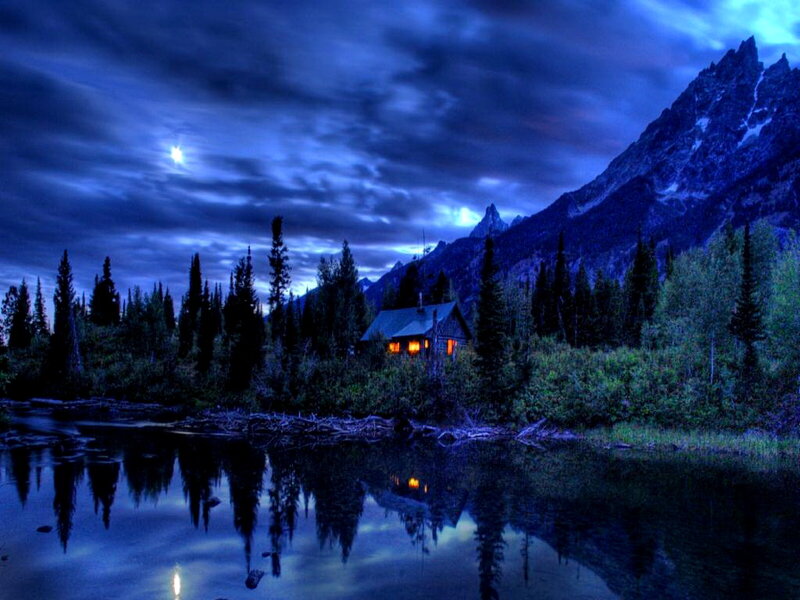Cabin in Forest Lake