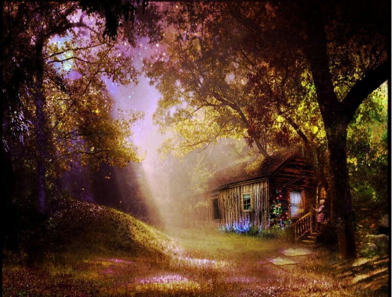 Cabin in Forest — Purple, Serene