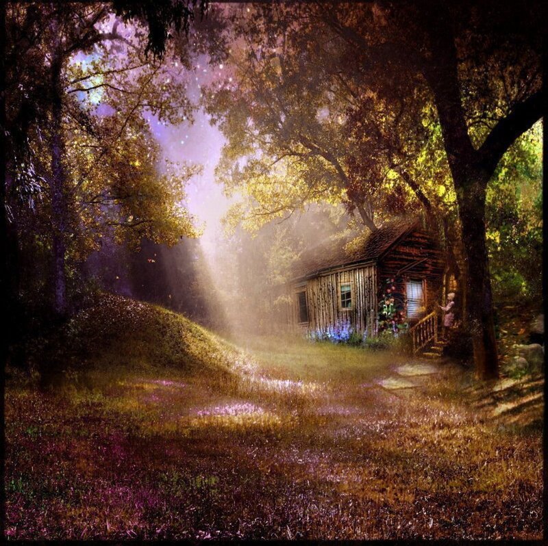 Cabin in Forest — Purple