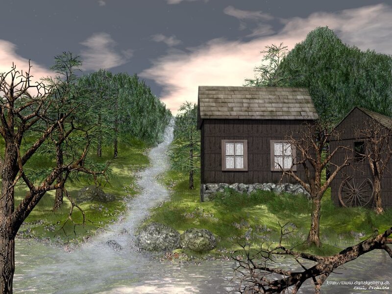 Cabin in Forest