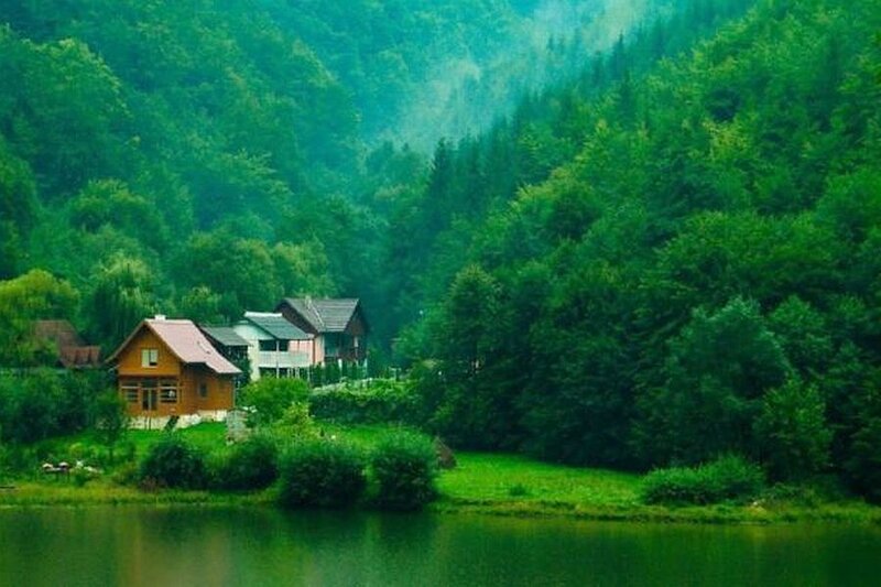 Cabin in Forest Valley