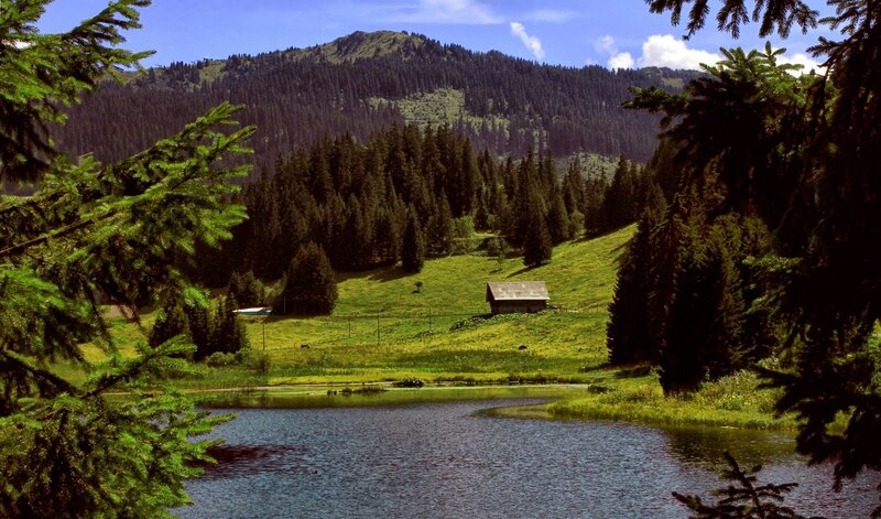 Cabin in Mountain Valley — Green, Serene, Afternoon