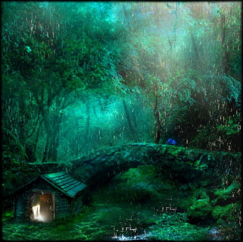 Cabin in Rainy Forest