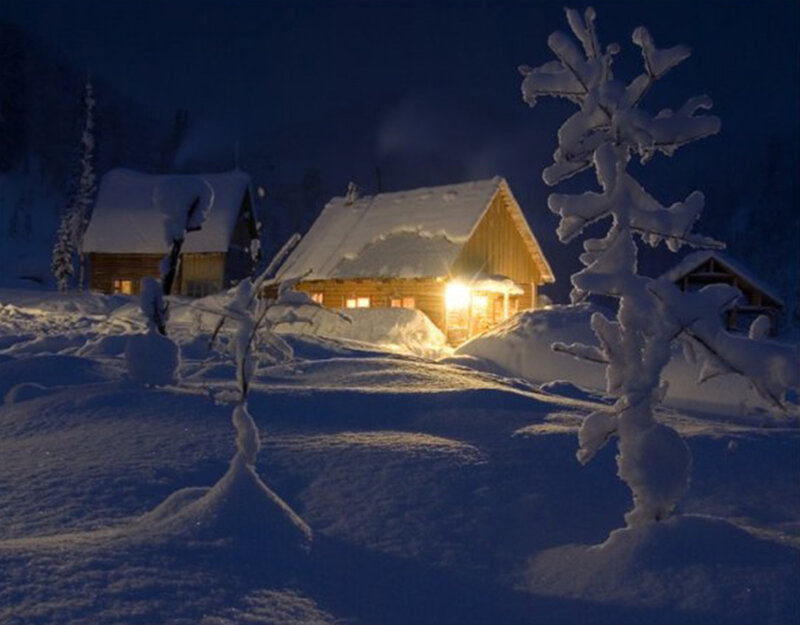 Cabin in Snow — Blue, Serene, Night, Photograph, Trees