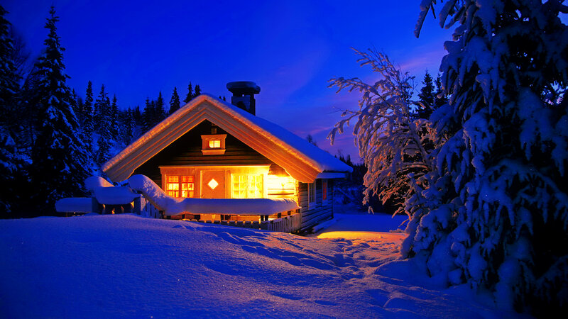 Cabin in Snow — Blue, Serene, Night, Photograph, Trees, Windows