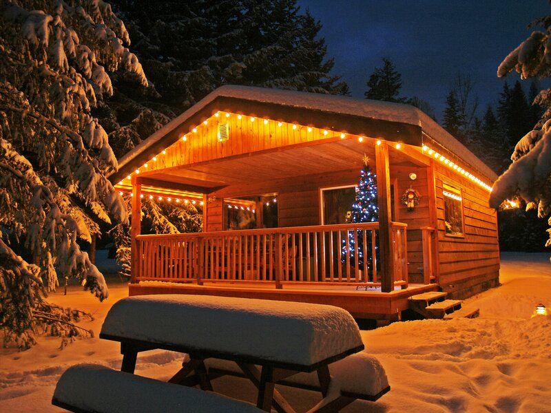 Cabin in Snow — Brown