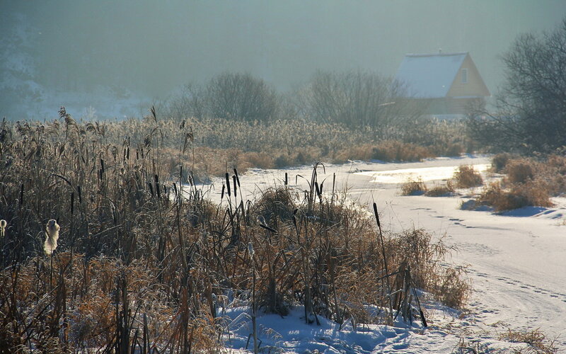 Cabin in Snowy Field — White, Serene