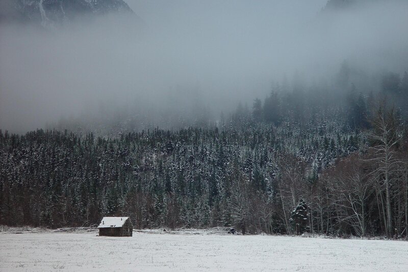 Cabin in Snowy Field — White, Serene, Winter, Photograph, Forest