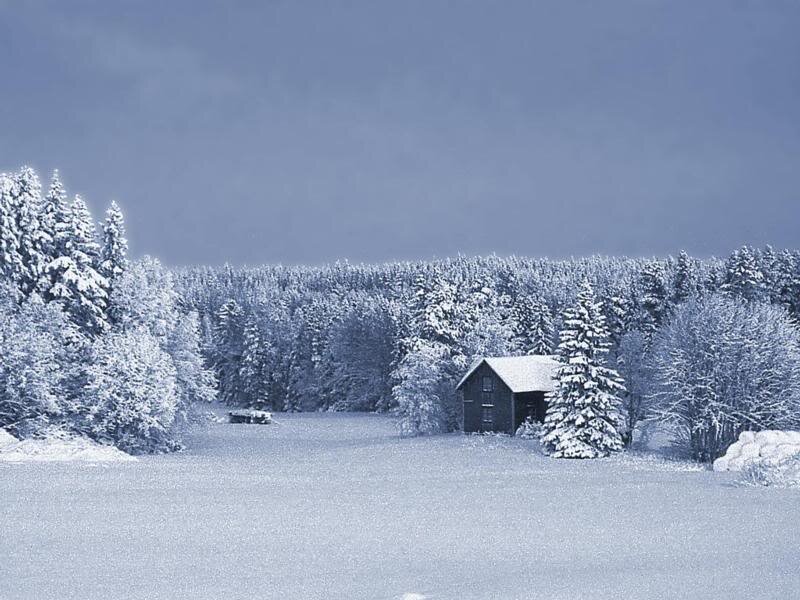 Cabin in Snowy Field — White