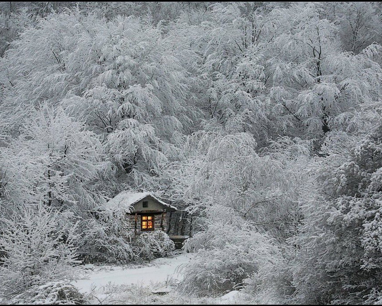 Cabin in snowy forest