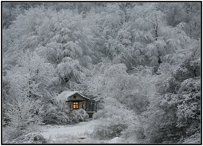 Cabin in snowy forest