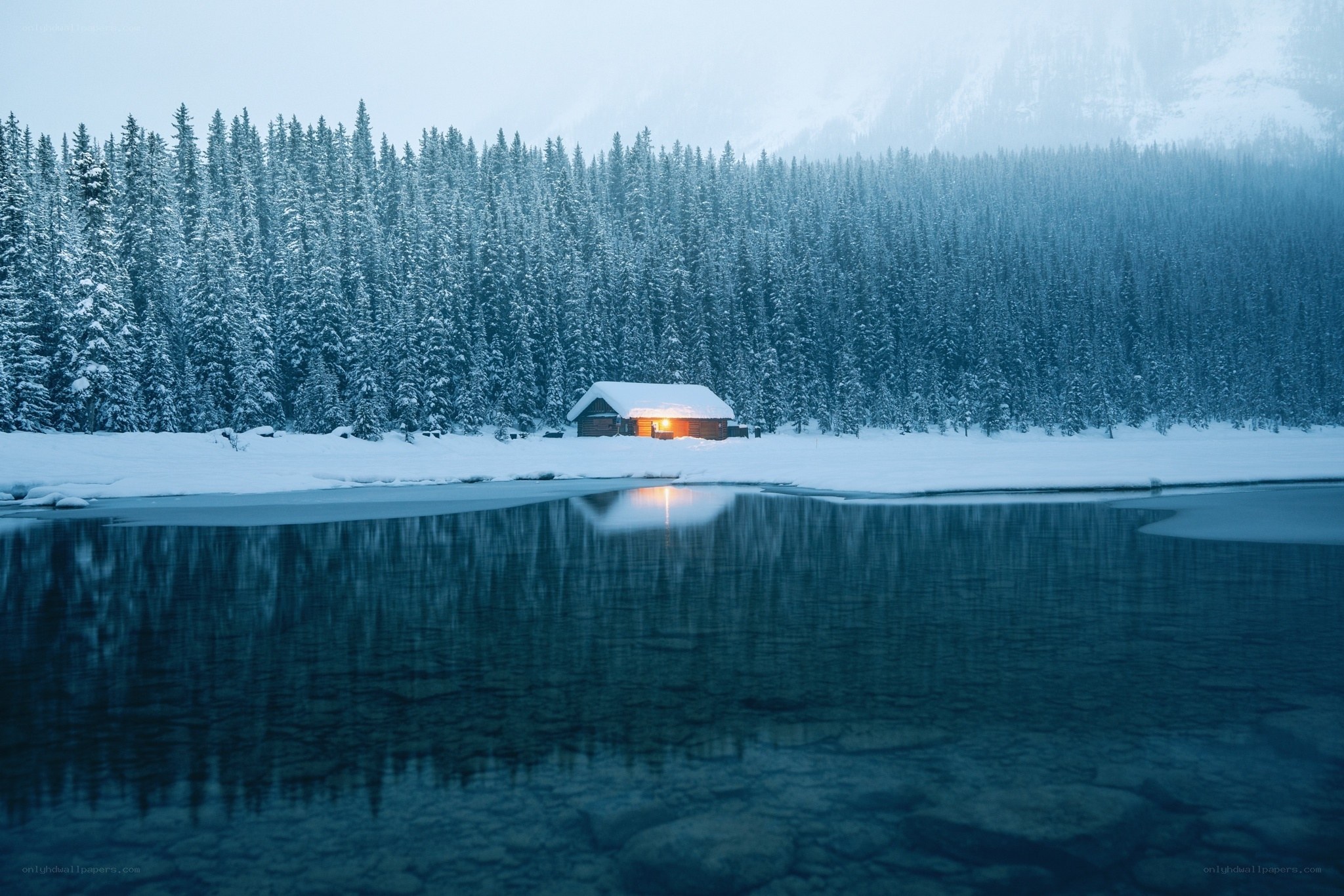 Cabin in snowy forest