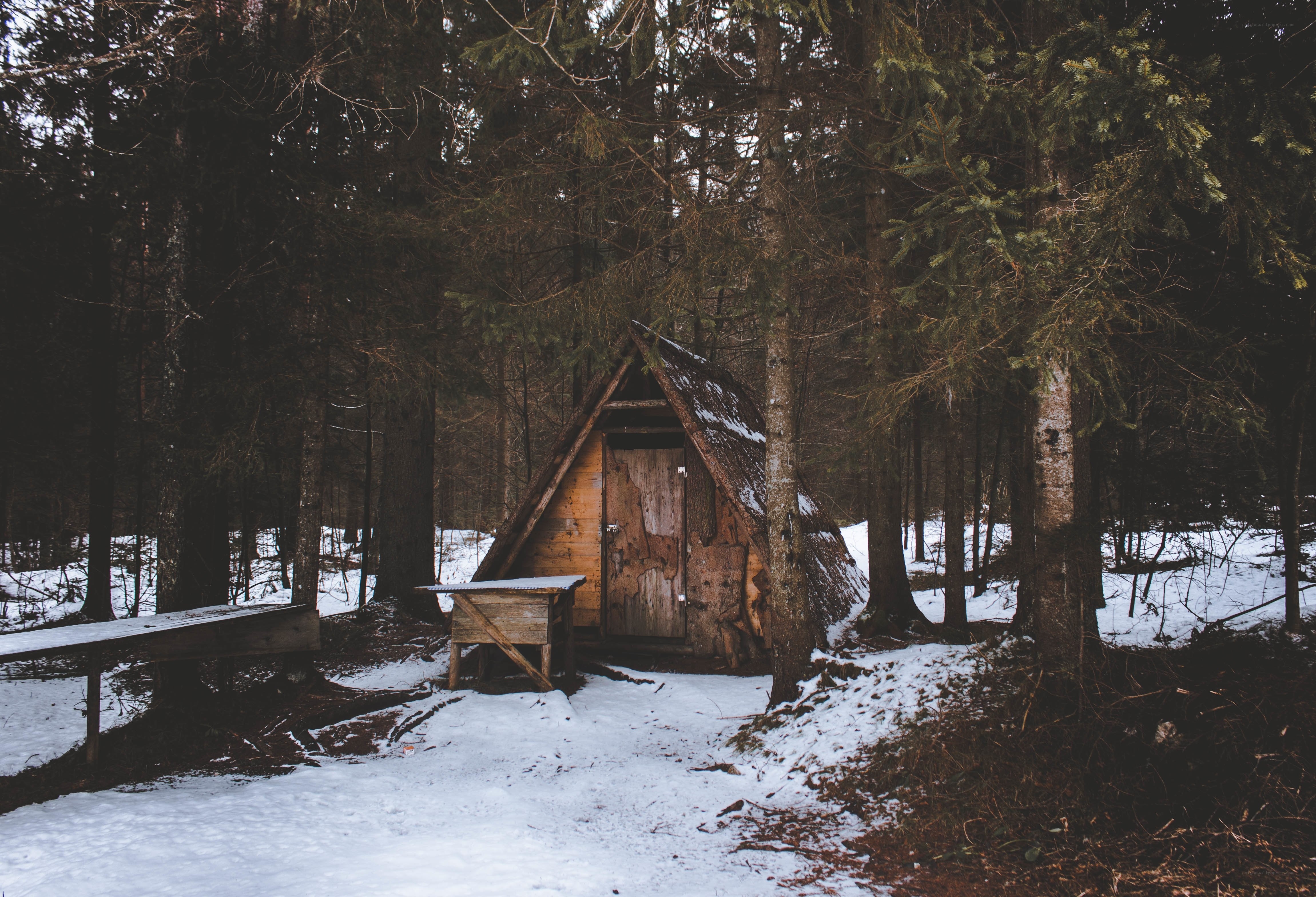 Cabin in snowy forest