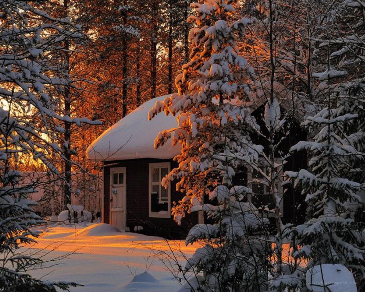 Cabin in snowy forest