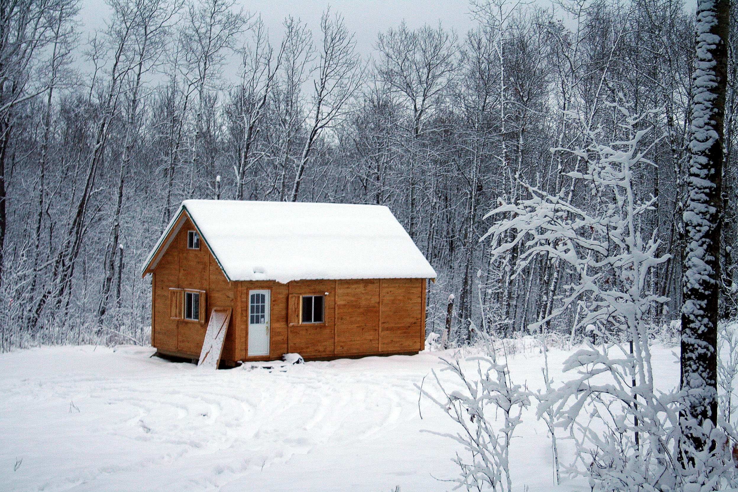 Cabin in snowy forest