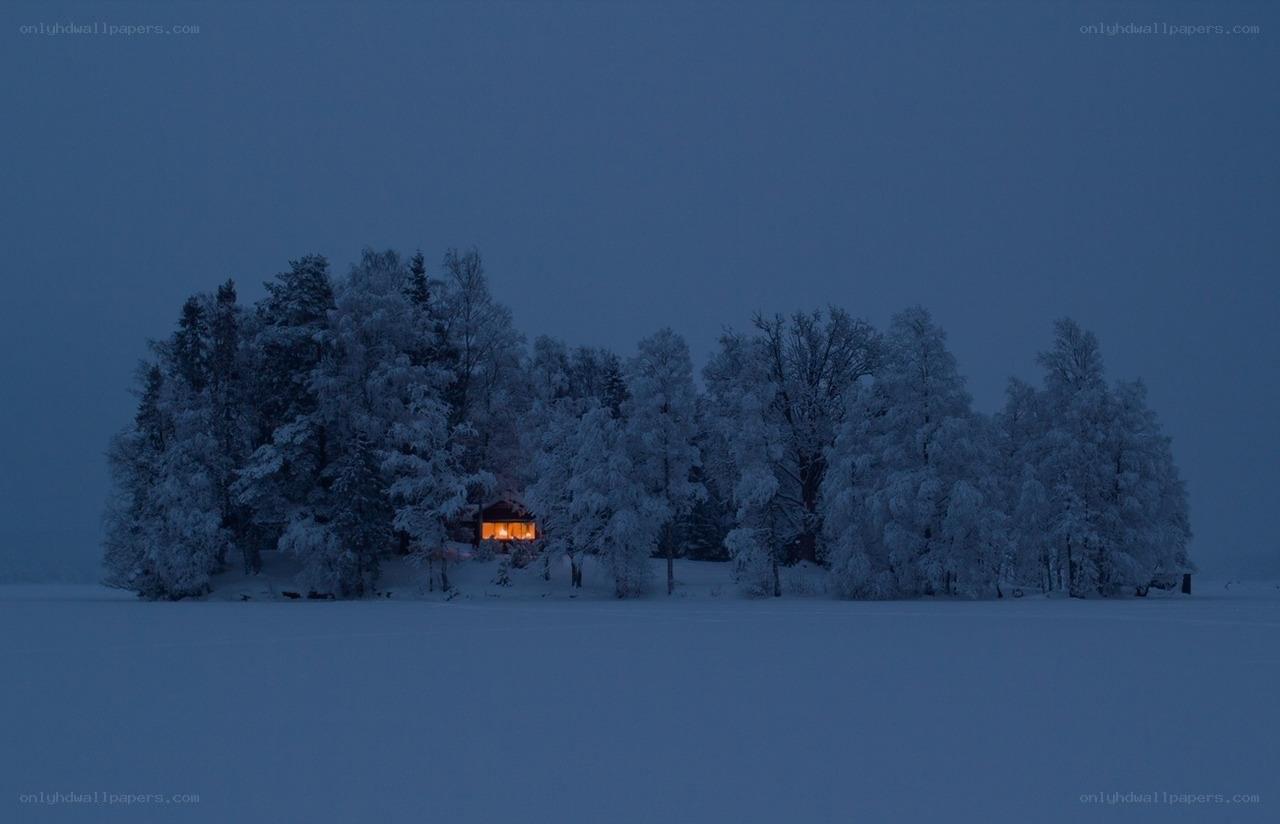 Cabin in snowy forest
