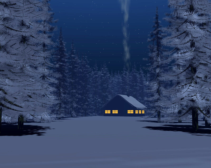 cabin in snowy forest at night