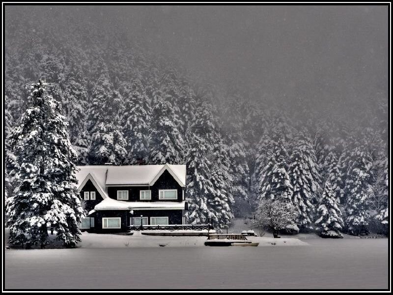 Cabin in Snowy Forest — Black, Serene