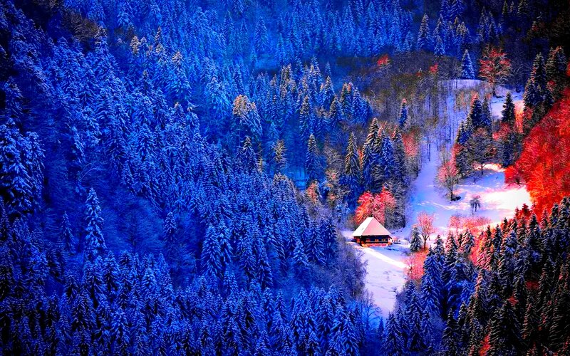 Cabin in Snowy Forest — Blue, Dramatic