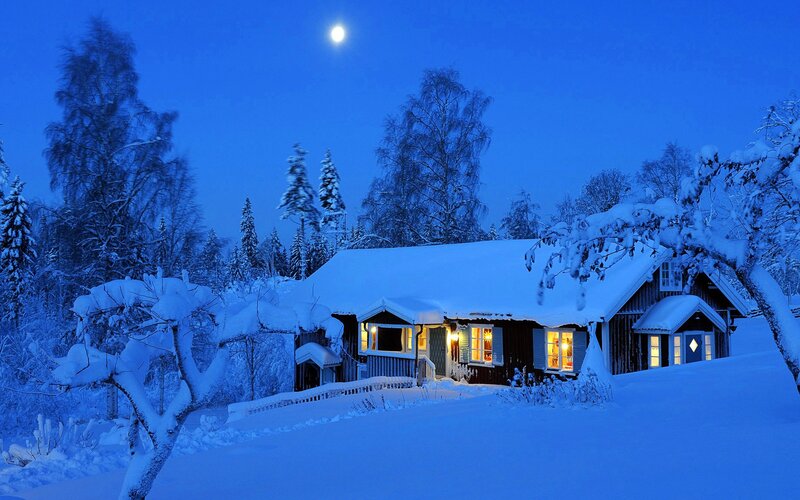 Cabin in Snowy Forest — Blue, Serene, Night, Photograph, Moon, Trees, Snow