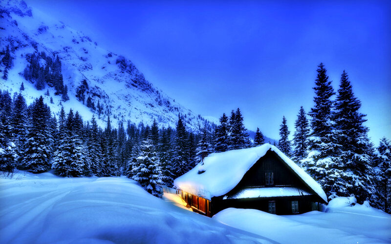 Cabin in Snowy Forest — Blue, Serene, Night, Photograph, Mountain